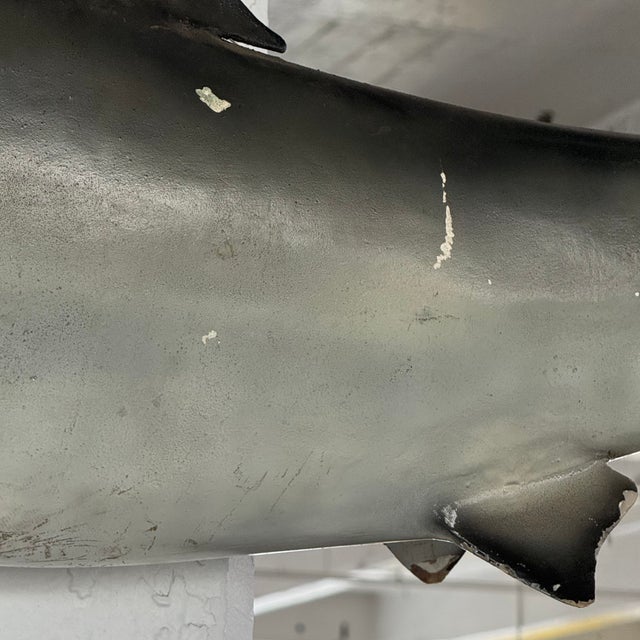 Mid 20th Century Life-Sized Fiberglass Mako Shark Display Mount For Sale In New York - Image 6 of 8
