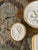 Metal Antique Italian Grand Tour Plaster Intaglios - Set of 8 (Group #11) For Sale - Image 7 of 14