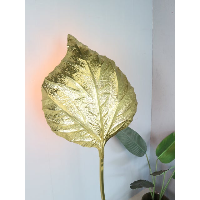 Vintage Rhubarb Floor Lamp by Tommaso Barbi for Bottega Gadda, 1970 For Sale - Image 13 of 15