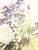 Pink Antique Botanical Phlox Print For Sale - Image 8 of 8