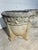 Cream Late 18th Century Concrete French Planters With Fruit Relief, A Pair For Sale - Image 8 of 9