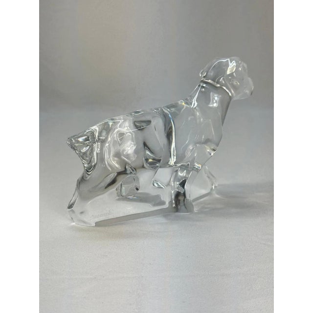 Baccarat Crystal German Pointer Dog Figurine Paperweight For Sale - Image 9 of 13