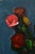 Aleksandr Rodin, Roses, 1980s, Oil on Canvas For Sale - Image 4 of 7