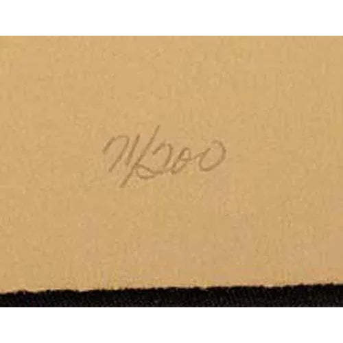 Catherine Ruane O'Connor "Fuchsia II" Signed Numbered Etching with Pink Flowers For Sale - Image 4 of 5