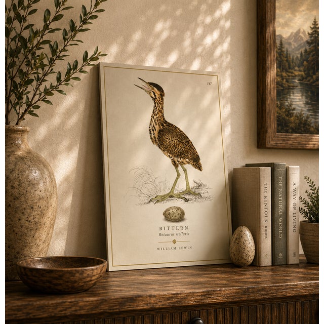 THE WILLIAM LEWIN WATERBIRDS & WADERS COLLECTION "The Bittern" Introduce a striking anchor of historical British...