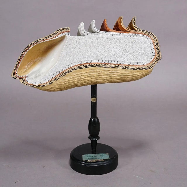 19th Century Botanic Model by Robert Brendel - Grain Grate A great antique botanical model manufactured by the famous...