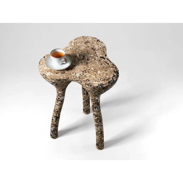 Neige Sculptural Stone Side Table by Donatas Zukauskas For Sale - Image 4 of 7