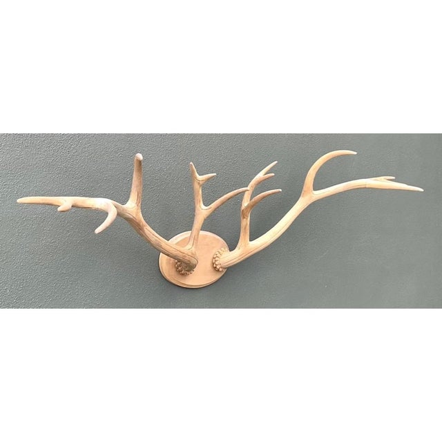 Vintage Carved Wood Antler Wall Mount For Sale In West Palm - Image 6 of 14