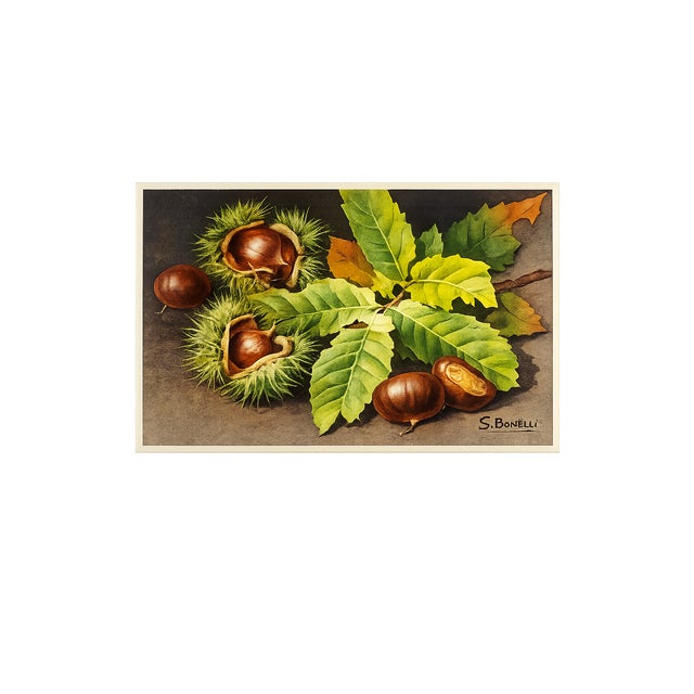 Rare Set of 6 Unused Silvio Bonelli Art Postcards (Circa 1930s) – Exceptional Italian Illustrator Collection – Scarce to Market For Sale In Milwaukee - Image 6 of 7