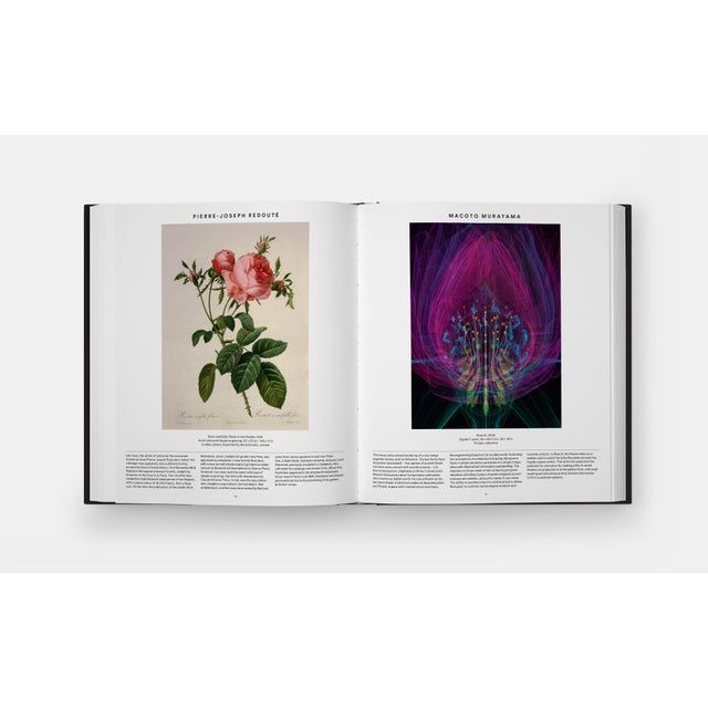 Black Plant: Exploring the Botanical World, Compact Format For Sale - Image 8 of 9