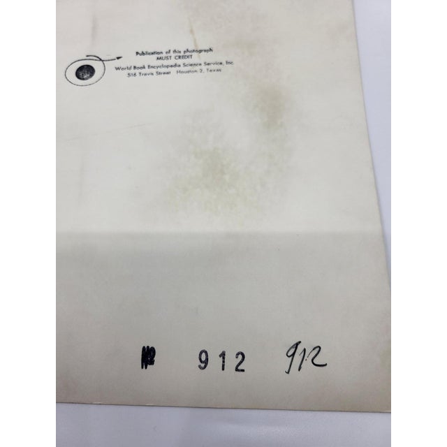 1960s Nasa Mission Gemini XI with Charles (Pete) Conrad, 1966, Photographic Print For Sale - Image 5 of 6