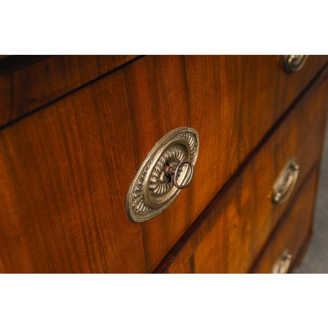 Biedermeier Chest of Drawers in Walnut For Sale - Image 11 of 18