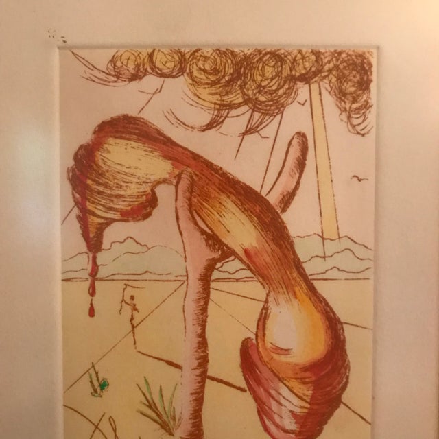 Salvador Dalí Salvador Dali Colored Etching, Artist Proof For Sale - Image 4 of 9