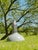 1950s HDK Grey Enamel and Aluminum Factory Pendant Light from Philips, Holland, 1950s For Sale - Image 5 of 14