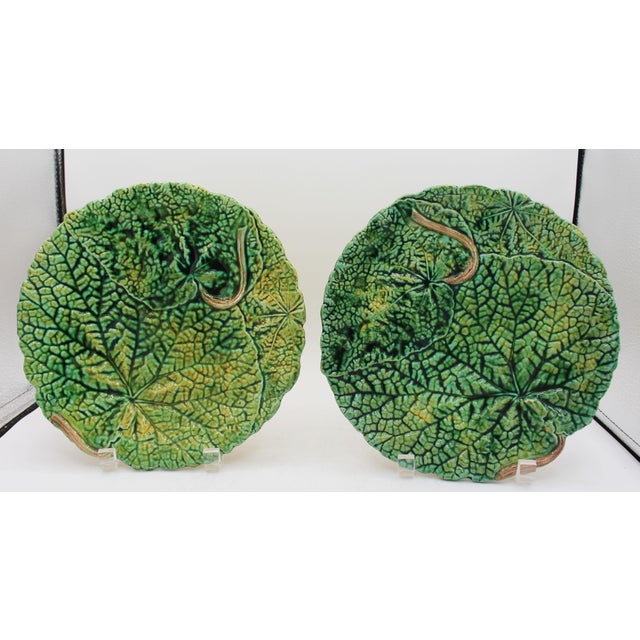Circa 1880-1900 pair of majolica begonia leaf plates by Joseph Roth, London. Double begonia leaves with stems. Each...