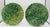 Circa 1880-1900 pair of majolica begonia leaf plates by Joseph Roth, London. Double begonia leaves with stems. Each...