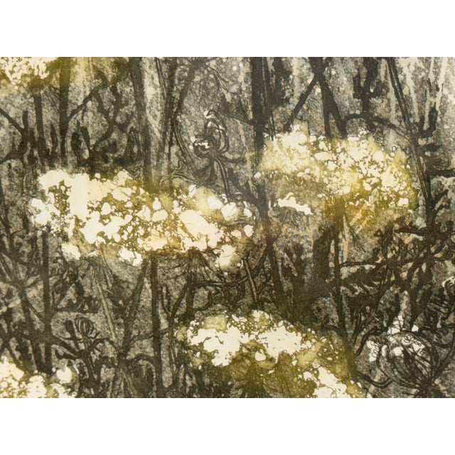 Printmaking Materials Elaine R. Simel “Wild Lace” Signed Limited Edition Etching 23/250 For Sale - Image 7 of 12