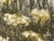 Printmaking Materials Elaine R. Simel “Wild Lace” Signed Limited Edition Etching 23/250 For Sale - Image 7 of 12