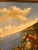 XL Framed Vintage Floral Landscape Oil Painting For Sale - Image 13 of 13