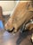 Animal Skin Full Body of a Greater Kudu/ African Antelope For Sale - Image 7 of 10