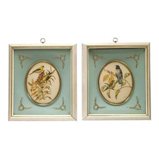 Vintage Pair of Rudolf Freund Bird Study Botanical Prints in Custom Shadow Box Frames For Sale