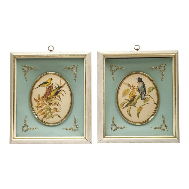 Vintage Pair of Rudolf Freund Bird Study Botanical Prints in Custom Shadow Box Frames For Sale
