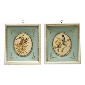 Vintage Pair of Rudolf Freund Bird Study Botanical Prints in Custom Shadow Box Frames