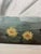 John James Audubon Birds of America Collection Common American Swan Original Print, Signed For Sale In San Francisco - Image 6 of 12