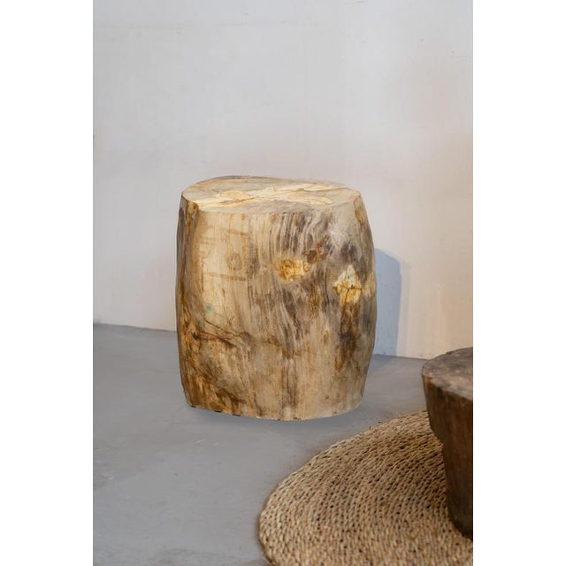 Rustic Petrified Wood Side Table, 1970s For Sale - Image 3 of 9