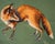Canvas Sz: 20"H x 23 1/4"W Finished Needlepoint Sz: 14 1/2"H x 19"W Made in England 100% Cotton Ehrman Tapestry Designed...