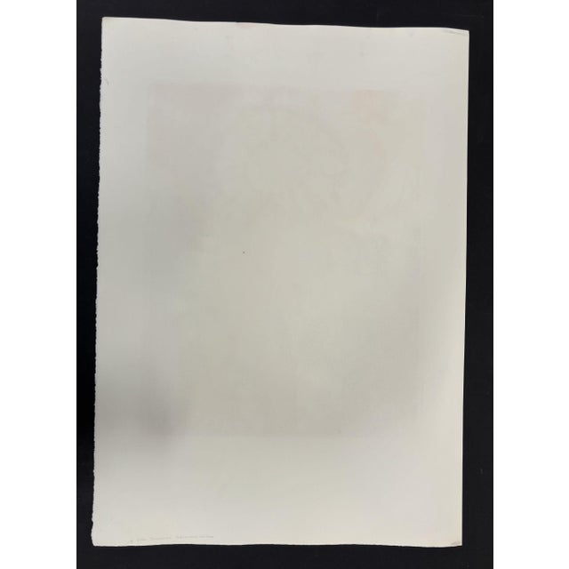 Salvador Dali "Ultra Surrealist Corpuscular" Print, 1971 For Sale - Image 11 of 12
