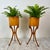 A Pair of Empire Style Swan-Neck Circular Fruitwood Planter Jardinières These circular fruitwood planters feature an...