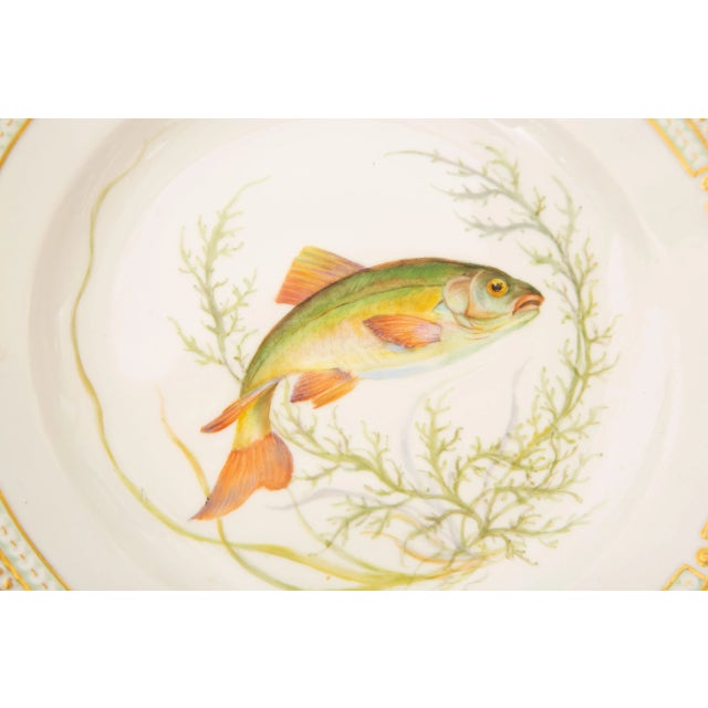 Modern Flora Danica Fish Plates, Vintage and Vibrantly Painted, Royal Copenhagen - Set of 12 For Sale - Image 3 of 13