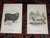 This set of twelve (1) authentic antique 19th century stone lithographs depict American sheep ranching in the late 1800s....