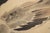 "Duck", Showa Era Japanese Monochrome Watercolor Scroll Painting For Sale In Dallas - Image 6 of 14