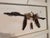 1970s Vintage South Dakota Indian Arrow Bundle For Sale - Image 5 of 8