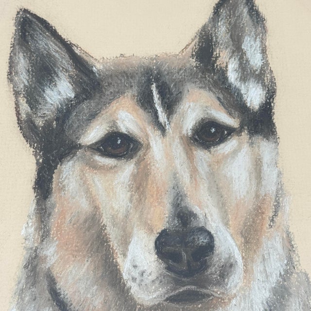 1980s Original Vintage Dog Pastel Portrait For Sale - Image 5 of 12