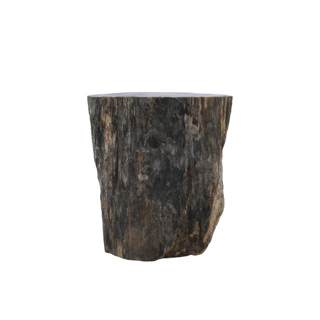 Contemporary Petrified Wood Side Table by Xyleia Petrified Wood For Sale - Image 3 of 9