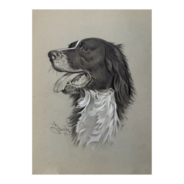 1940s Original Signed Graphite Illustration of English Springer Spaniel, 11 × 8.5 In. For Sale
