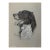 1940s Original Signed Graphite Illustration of English Springer Spaniel, 11 × 8.5 In. For Sale