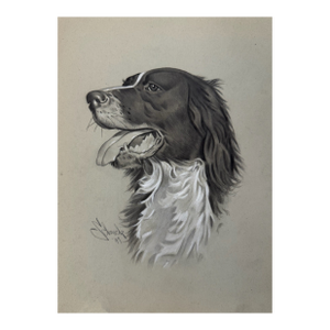 1940s Original Signed Graphite Illustration of English Springer Spaniel, 11 × 8.5 In.
