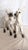 Vintage Mollica Ceramic Statue of Two Lambs, Italy, 1940s For Sale - Image 9 of 15