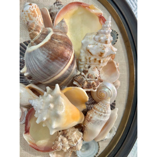 1970s Vintage 1960’s Coastal Sailors Valentine Shell Wall Art – Real Seashell Collage on Linen in Oval Wood Frame For Sale - Image 5 of 8