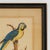 Framed Antique Watercolor of a Parrot For Sale In West Palm - Image 6 of 8