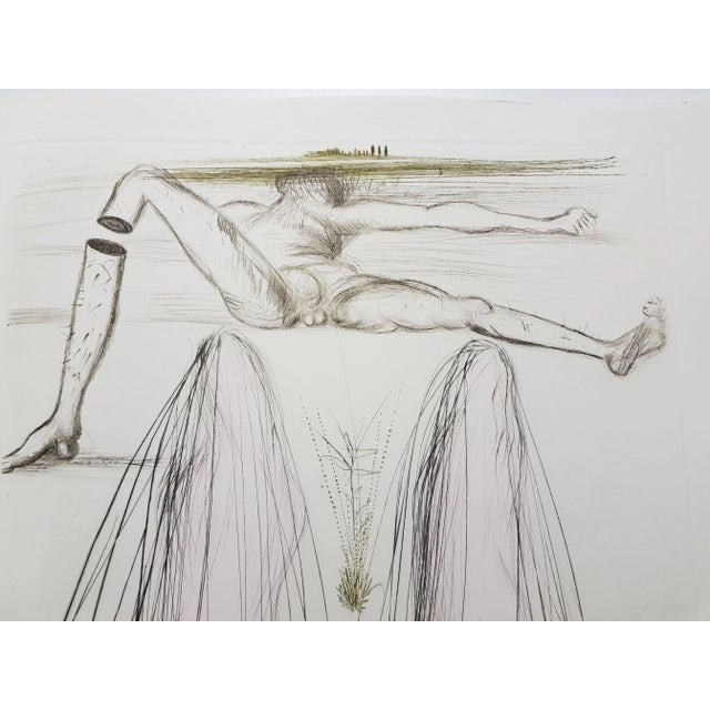 Salvador Dali - The Giant Beliagog - Original Etching 1970 For Sale - Image 6 of 8