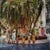 Young Society 1964 Young matrons of Palm Beach, Florida. Most of them are wearing a gaily coloured Lilly Pulitzer shift,...