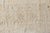 Greige Contemporary Samarkand Style Botanic Handmade Wool Rug by Doris Leslie Blau For Sale - Image 8 of 10