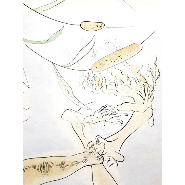 Wood Salvador Dali - The Oak and the Reed - Signed Engraving 1974 For Sale - Image 7 of 13