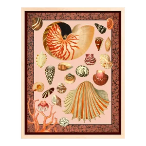 Maximalist Shell Print by Capricorn Press