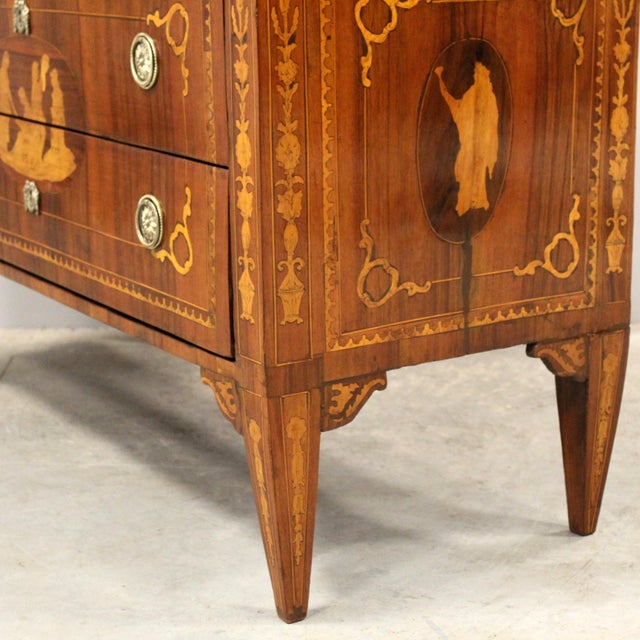 Italian Louis XVI Chest of Drawers in Walnut For Sale - Image 14 of 16